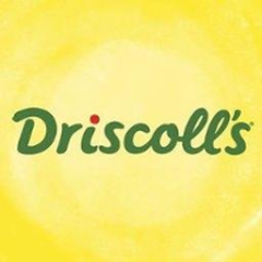 Driscolls