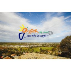 Griffith City Council