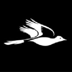 Magpies Sporting Club