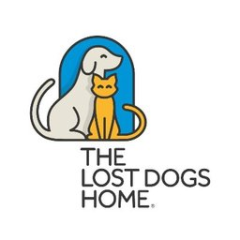 The Lost Dogs Home