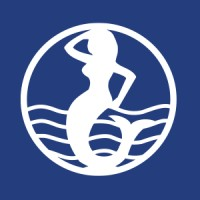 Cheetham Salt Limited