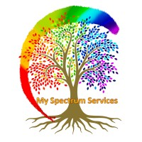 My Spectrum Services