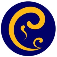 City Fertility
